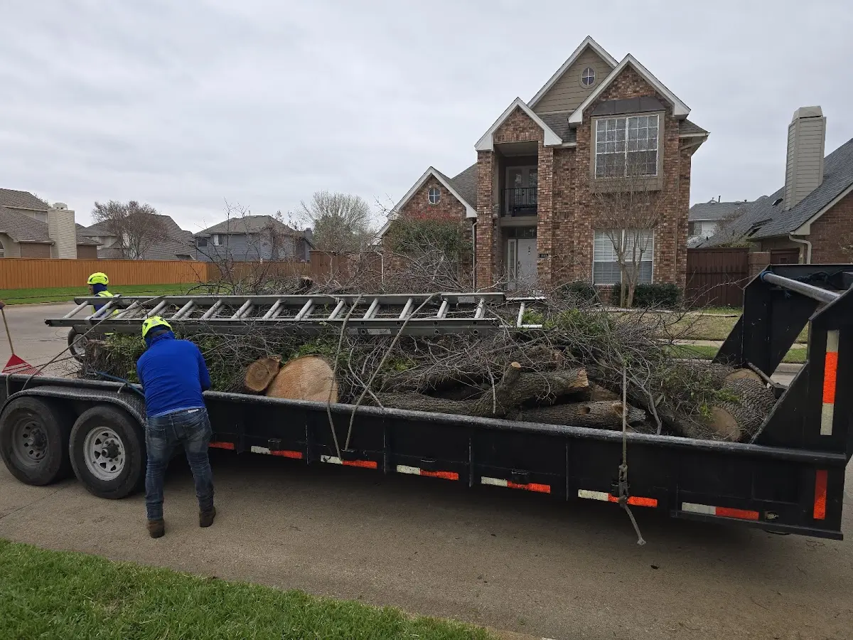 Expert Tree Removal with proper safety equipment in Lowmansville